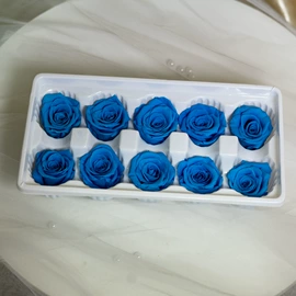 永生花;鲜花花艺制品;干花