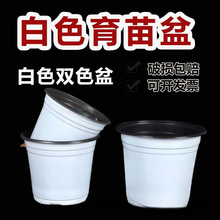 �pɫ�pɫ������S�һ��ػ��ܰ�ɫ����I�B���Nֲ����������