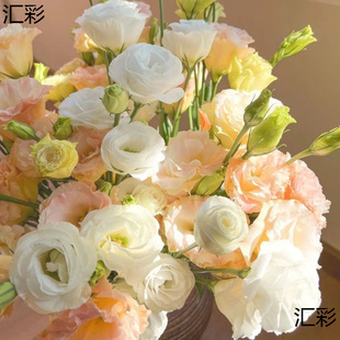 Fresh Cut Flower Bouquets Indoor Hydroponic Flowers Mixed Wholesale Lisianthus Gentian Flowers Direct from Yunnan Kunming Base