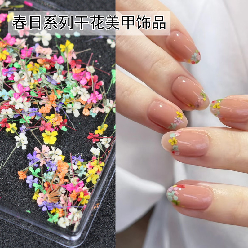 Japanese-Style Dried Flower Nail Art Ins Monet Garden Oil Painting Color Scheme Small Flower Mixed Floral DIY Nail Decorations Fresh and Simple