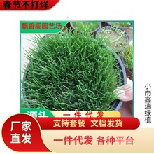 �M���ͺ����ݷN�Ӷ����������ݷN���ļ������u���Z�iţ���~�ݷN��