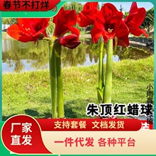 һ�����l��피tϞ���M���ذ�N���ش����҃��̨����ֲ���������b