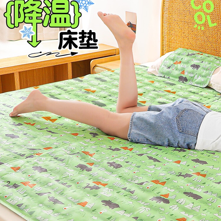Gel Ice Pad Mattress Ice Cushion Summer Dormitory Water-Filled Mattress Mat Cold Sofa Cushion Summer Cooling