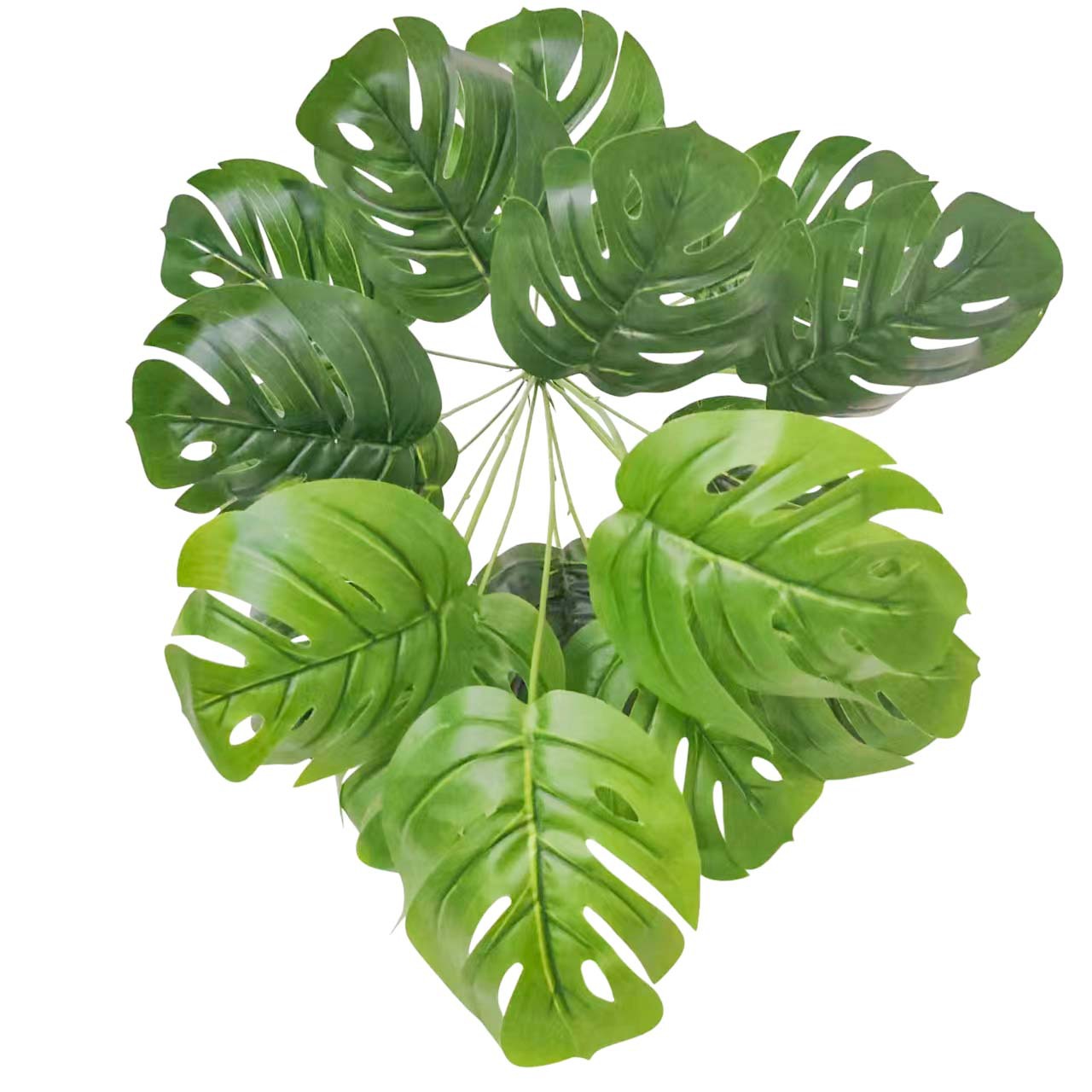 微信图片_20230306100908