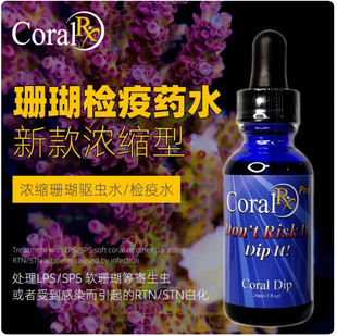 ����coral RX������sLPSɺ���z��șˮ�����x�t���x����SPS���xˮ