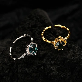 戒指;耳夹;耳钉