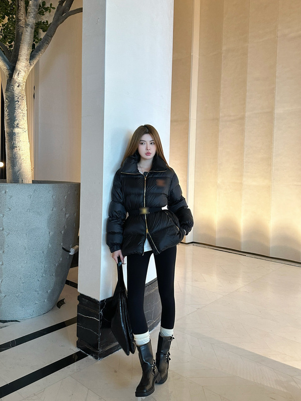南油女装2025冬季时尚立领羽绒服女高级感白鹅绒收腰显瘦保暖外套|undefined