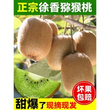 ��ɽ����J����ˮ�����r��������5��󏛺��ҾG���殐���㽭