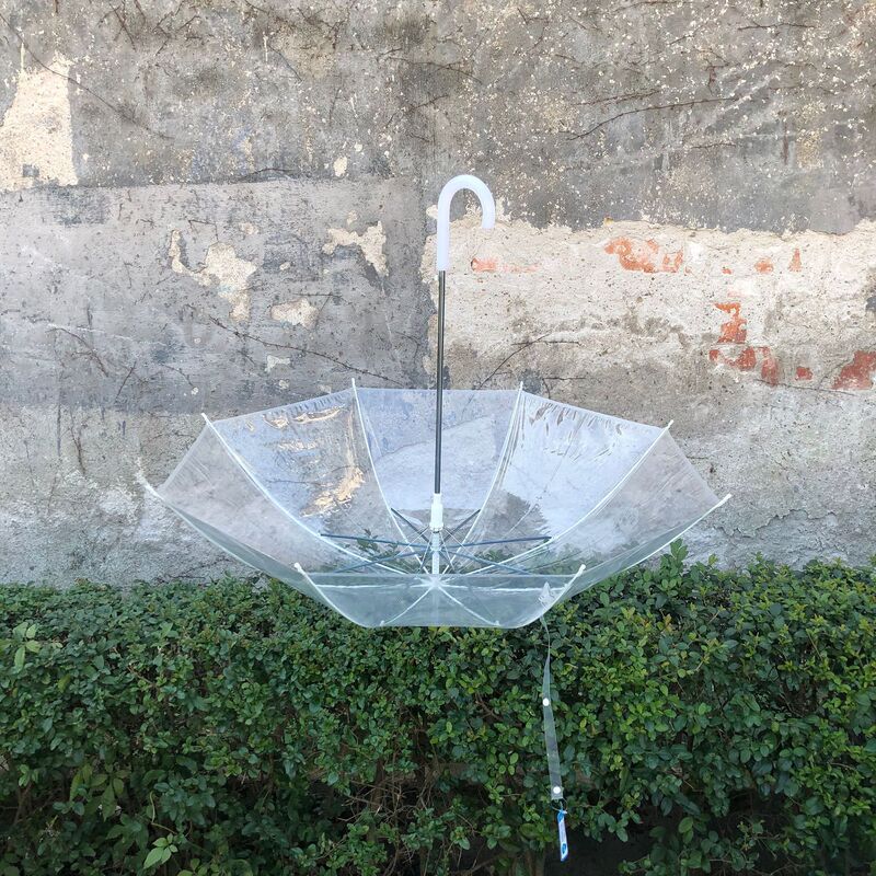 Spot Wind-Resistant Student Poe Large Transparent Plastic Long-Handled Umbrella Long-Handled Dance Popular Street Umbrella Advertising Umbrella