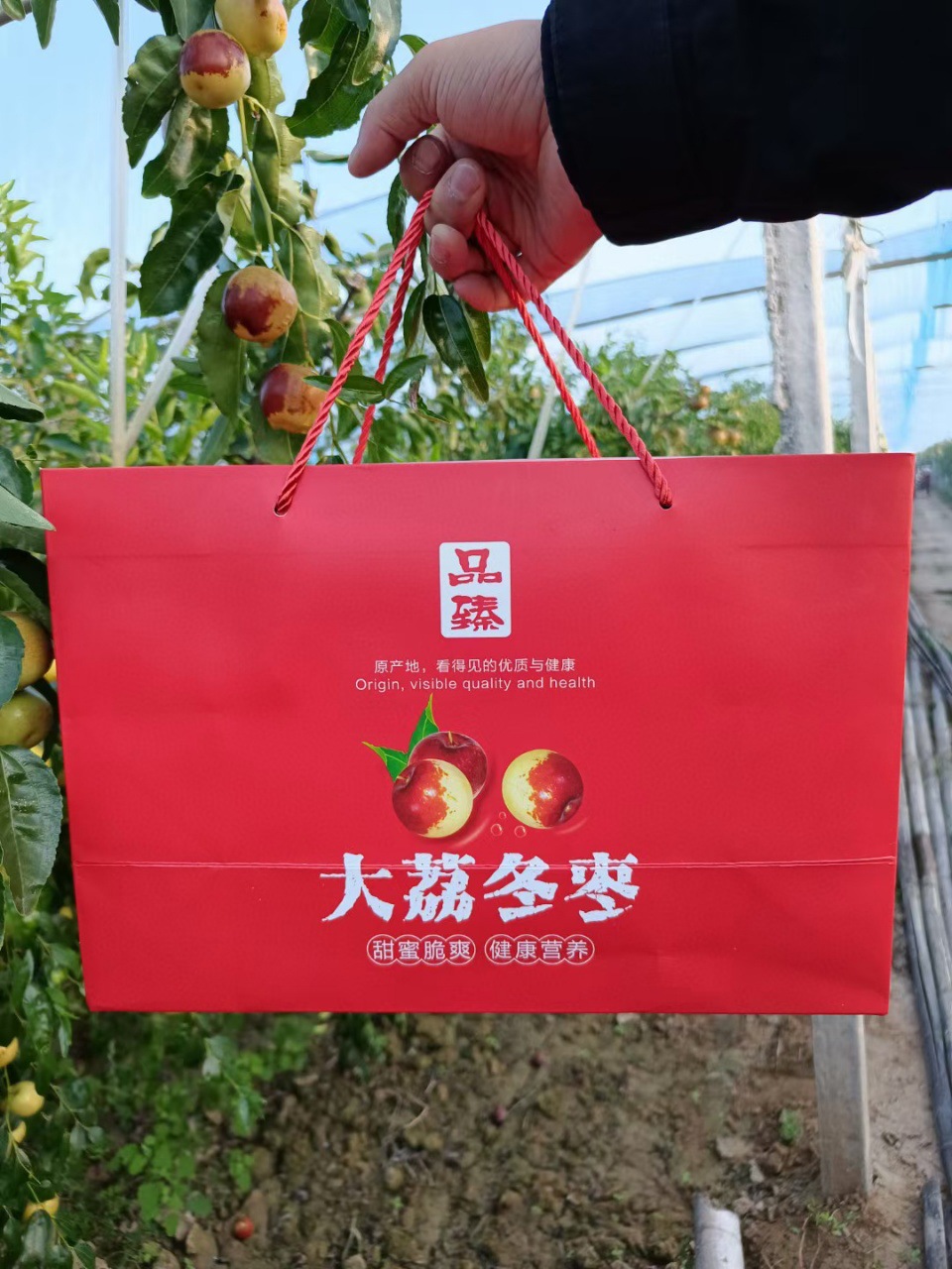 微信图片_20240625201535