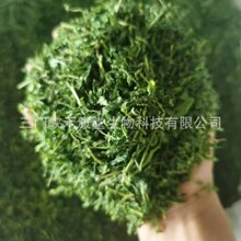 �V���u�ǲݲ���˼���͸ʲ賴�u�ǲݲ��~���r���ɛ���