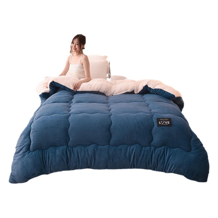 Cross-Border Hot-Selling Thickened Milk Velvet Winter Quilt, Lamb Wool Quilt, Single/Double Dormitory Warm Quilt for Spring and Autumn