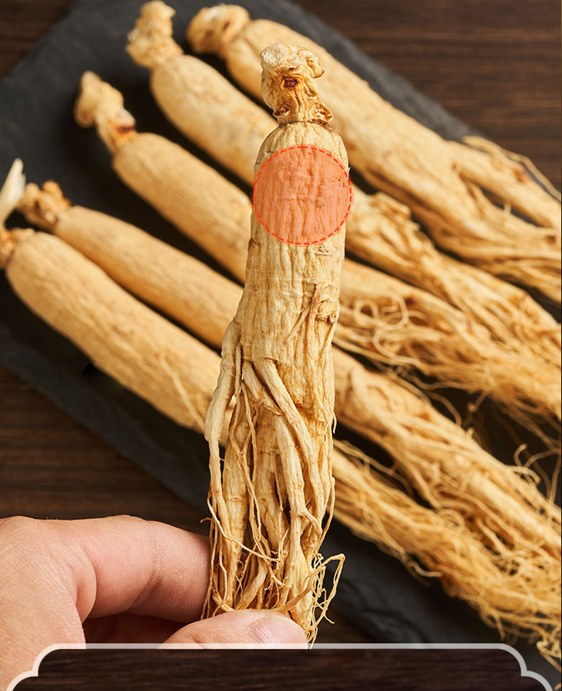 Changbai Mountain Sun-Dried Ginseng Ren Shen Whole Root Gift Box 75g 5 Roots specifications