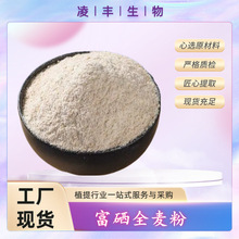 富硒全麦粉200ppm 富硒全麦提取物 水溶 工厂现货直销 量大优惠
