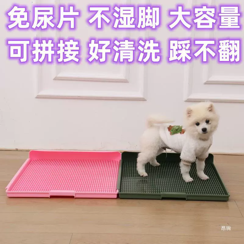 Нет подгузников для больших собак