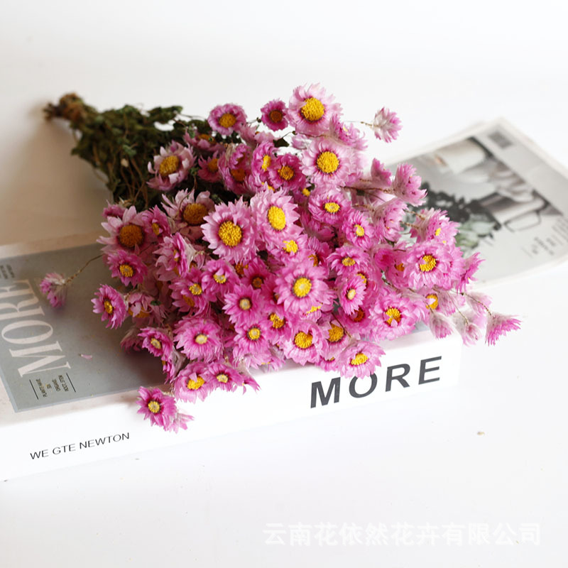 Flor seca Flor eterna Gypsophila Bola de oro No me olvides Flor seca Rosa hoja de eucalipto Pine Fruit Lover Grass al por mayor