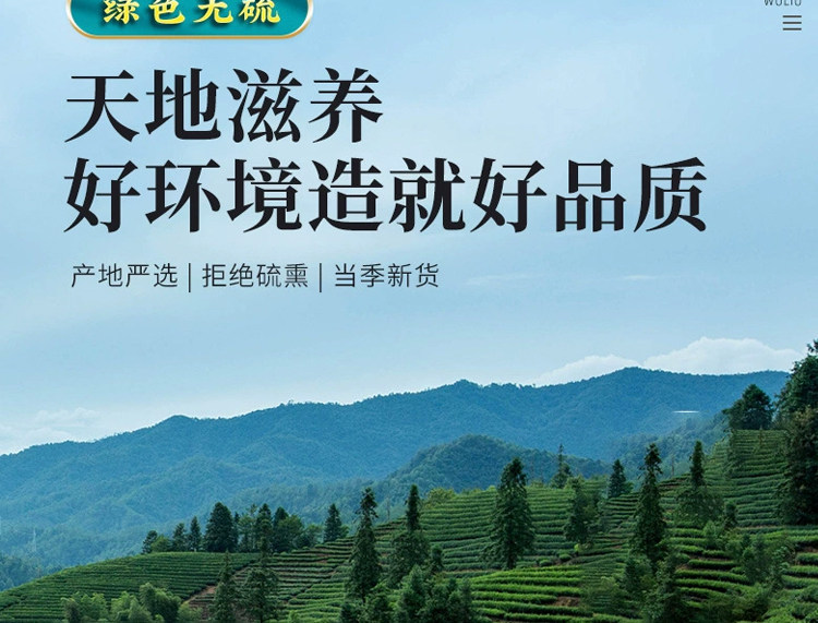 Myrrh Mo Yao Dried Resin 500g Premium Natural Chinese Herb for Decoction and Powder quality and texture