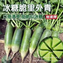 �����������}��ɳ�C�}������ˮ���}���N�ӿڸд���ˮ���r���߲˷N