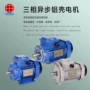 油雾b5b14净化器电机