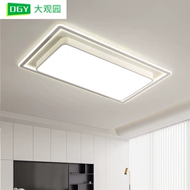 吸顶灯;吊灯;风扇灯