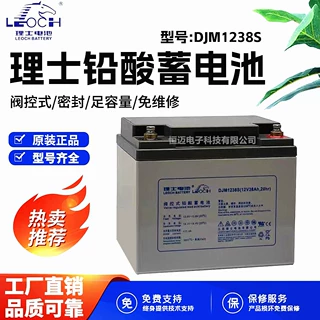 LEOCH理士蓄电池DJM12-38S 12V38AH消防应急直流屏UPS专用电瓶