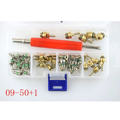 Valve Core Box Set R12 valve - 09-501pcs