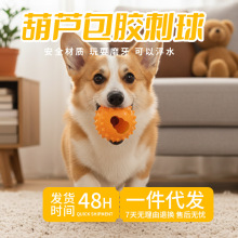 ���������ҧĥ���l���J���z�����Xtpr������������l