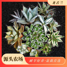 �����mͥԺ�����b����Gֲ���ԽM���k���ҾӶ���ֲ��ɏ��������