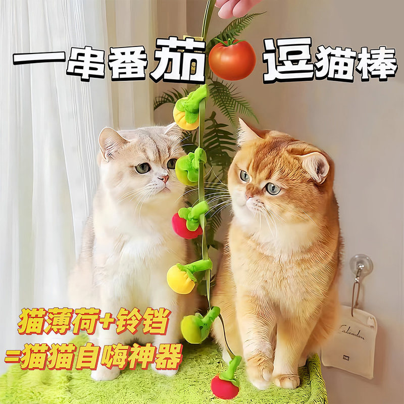 New Tomato Cat Teaser Stick, Bite-Resistant Cat Toy, Self-Entertainment and Boredom-Relief with Bell, Cat Toy Ball for Cats New Tomato Cat Teaser Stick, Bite-Resistant Cat Toy, Self-Entertainment and Boredom-Relief with Bell, Cat Toy Ball for Cats