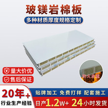 厂房车间外墙复合净化板50厚机制彩钢板室内玻镁岩棉夹芯防火板