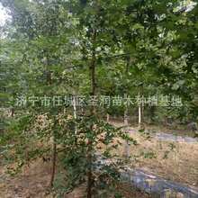 �F؛���l��Ǘ� Ԫ���� �F�ڬF�u���^��乩��������Ǘ�