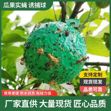 �Tω����ٴ�ω�߲˹Ϲ��@�ù�ω���T�x��ᘷ����l�Gɫ����S��