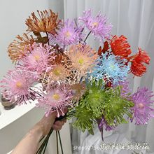 3头针垫花仿真花帝王菊装饰植物婚庆装饰花艺彩色针垫花蟹爪菊