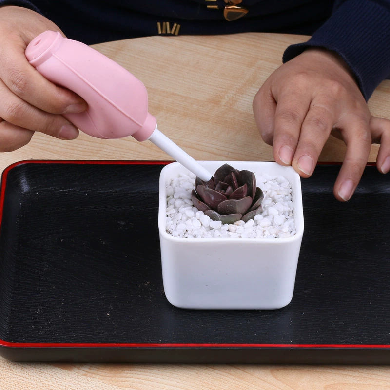 Пылеулавливание камеры детская кожа Тигр сильное Продувка Воздухом очистка объектива камеры воздушный удар мясистый инструмент для очистки