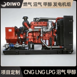 燃气发电机组;自吸泵