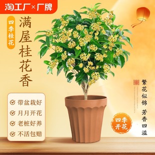 �ļ������Թ𻨘����ʳ�������_���҃��̨ͥԺ�����ͻ��ܾGֲ��