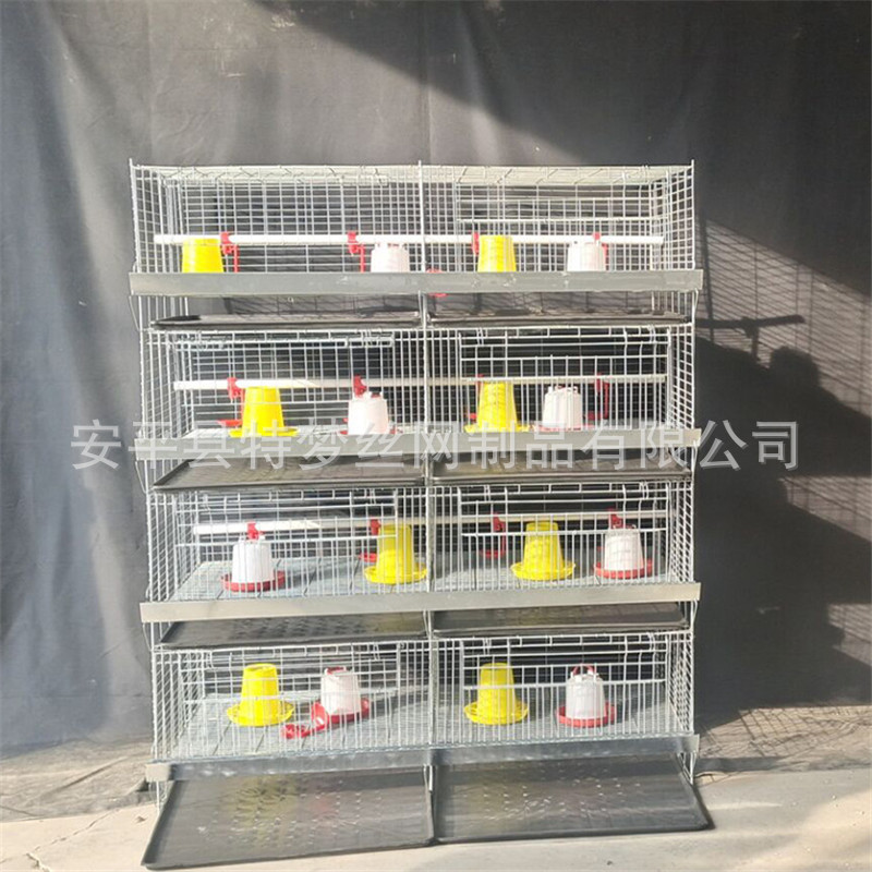 雏鸡笼 加粗加密弹簧门育雏笼 养殖小鸡笼 四层8门立式小鸡笼-阿里巴巴