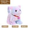 Realistic purple small bell, cat