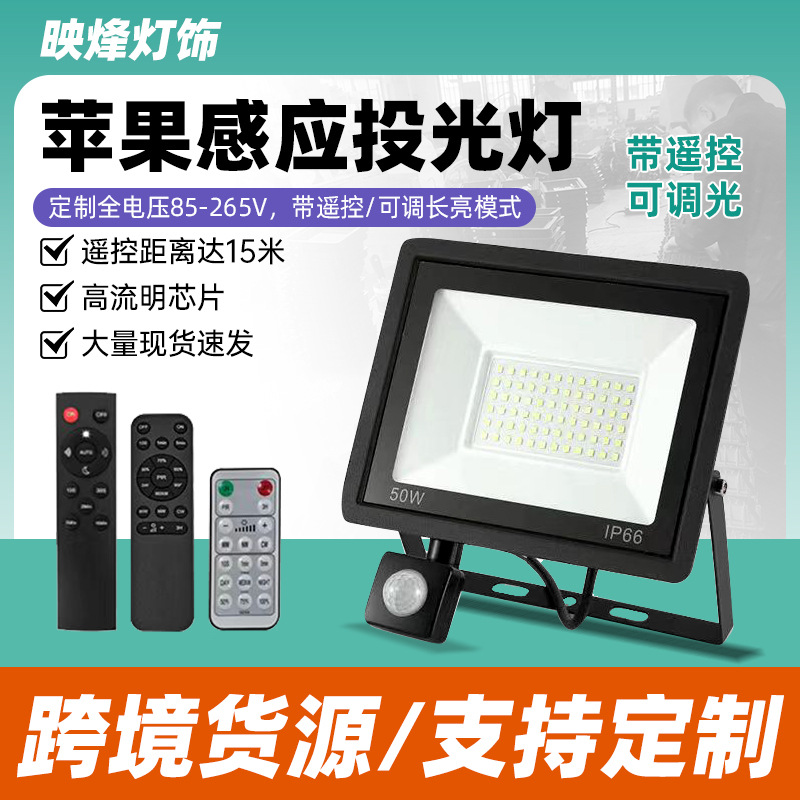 新款led遥控感应投光灯户外防水楼道照明调光亮度定时pir感应泛光