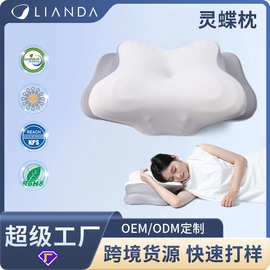 源头工厂爆款慢回弹记忆棉枕 侧睡护颈椎助睡眠枕芯颈枕超柔枕头