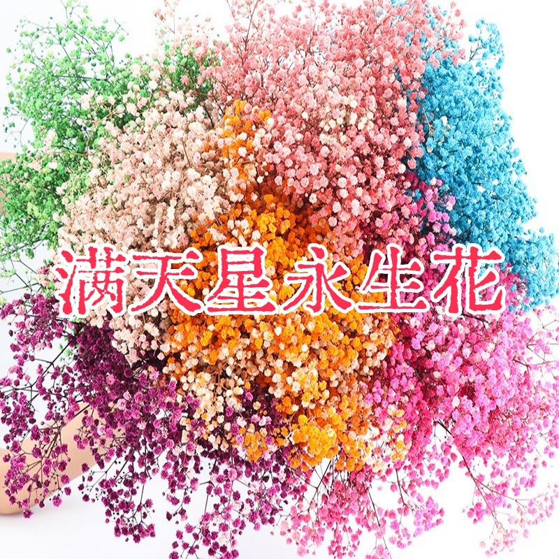 满天星永生花工艺干花压花香薰书签押花diy手工原材料包植物批发