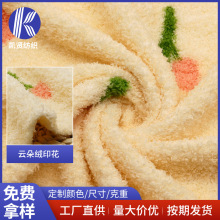 纬编云朵绒印花 美丽绒蚂蚁绒绒布秋冬童装家居服小毛毯宠物用品