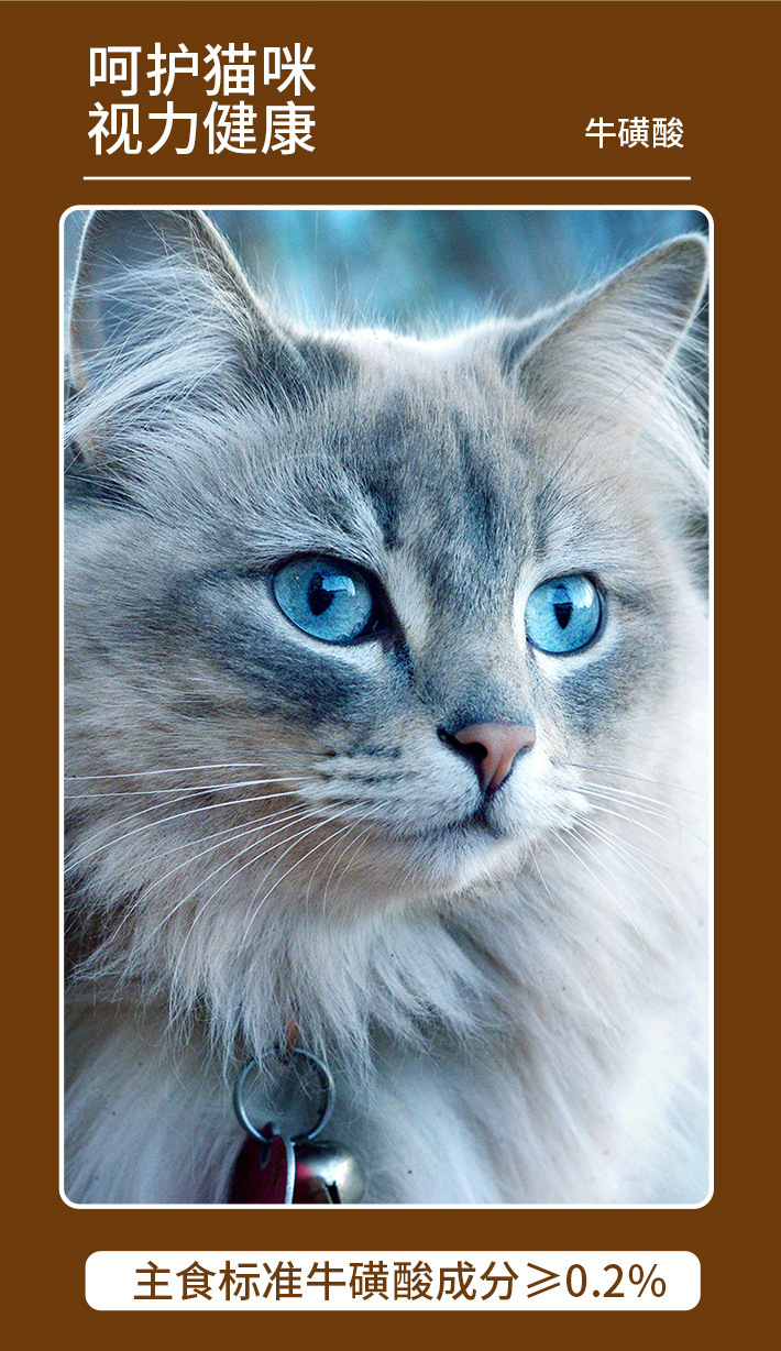 c2561105-63b7-442b-9eba-50bb5f53c935.jpe