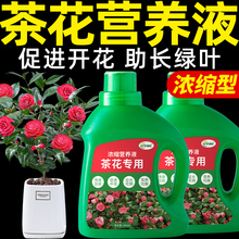 茶花营养液山茶花专用肥酸性植物肥料四季促开花花肥花卉养花绿植