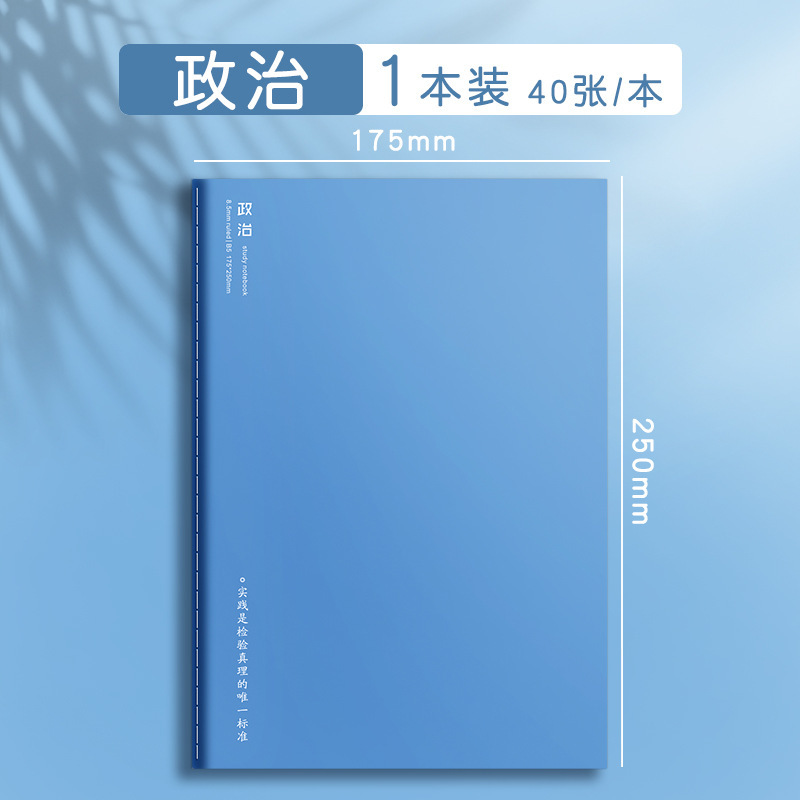 정치