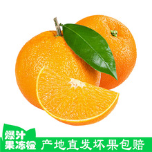 甜橙爱媛果冻橙红美人新鲜水果当季整箱橙子甜橘手剥橙大果直批