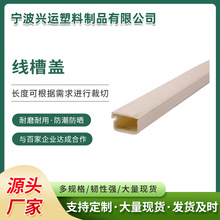 �����w���ϔD�����Ͳ����ϗl�ܲ� PVC�D���Ͳ����ϔD��ģ�߼ӹ�