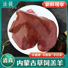 清真内蒙古新鲜生羊肝羊杂生鲜冷冻商用家用烧烤火锅草原羔羊羊肝