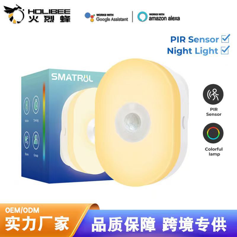 Tuya Smart Home Wifi Night Light Infrared Human Body Sensing Night Light App Remote Control Voice Timing Rgb
