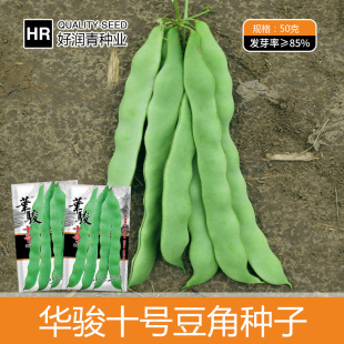 ���ⶹ�ǷN�ӽ����������ļ����N�Ѵ��＾�G���ܶ���ܿ���˷N����